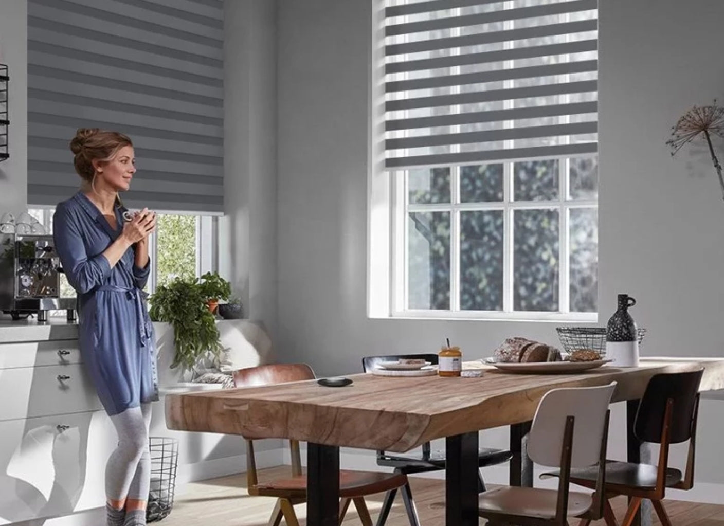 Zebra Blinds